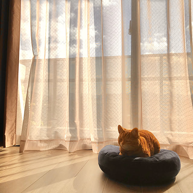up0524さんの実例写真
