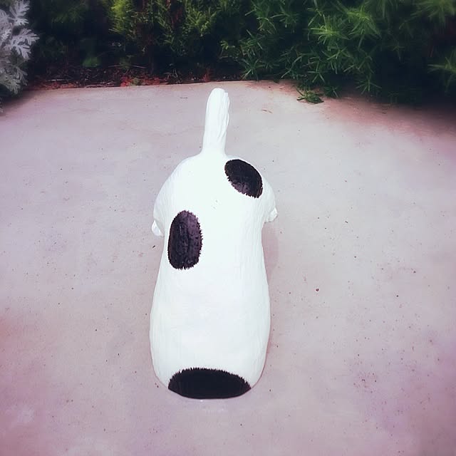 Megu5319さんの実例写真