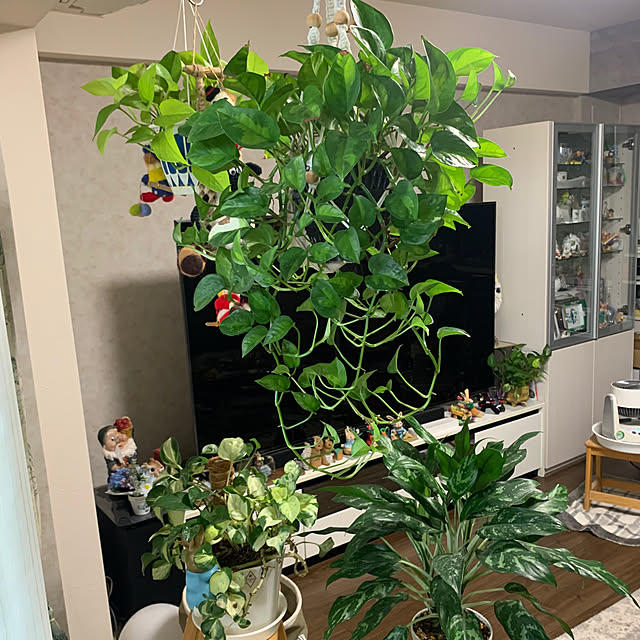 Aqettyさんの部屋