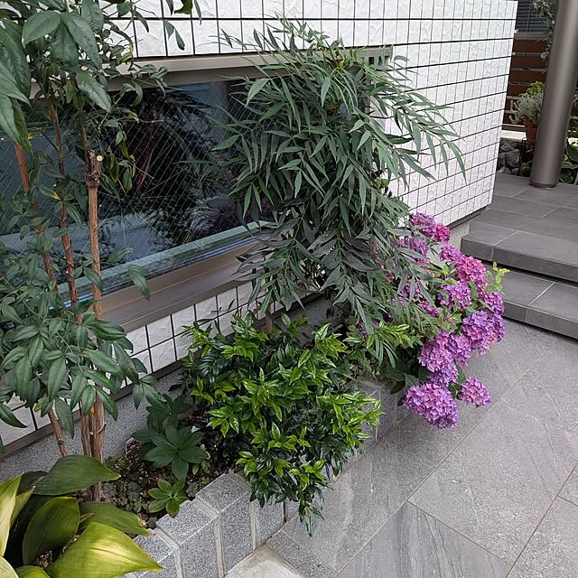 Rororiさんの実例写真