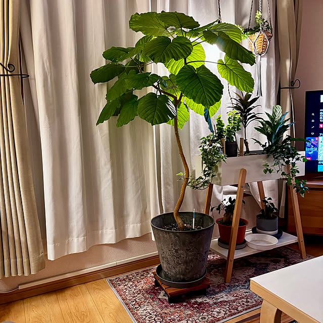 masumiさんの部屋