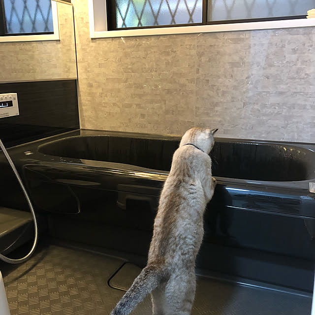 mieさんの実例写真