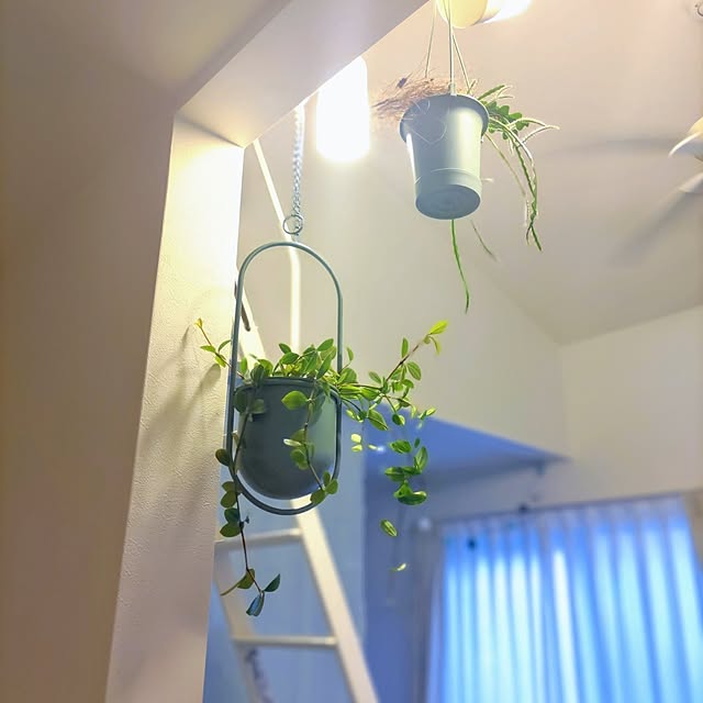 Haさんの部屋