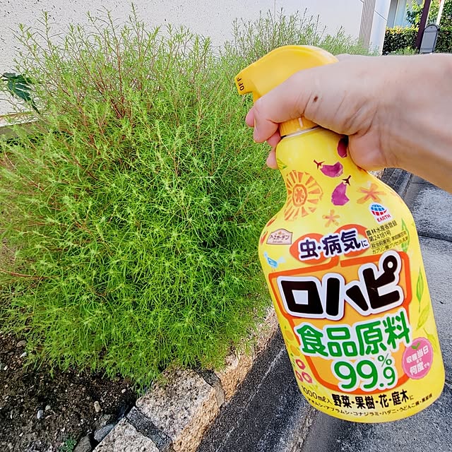suzuさんの部屋