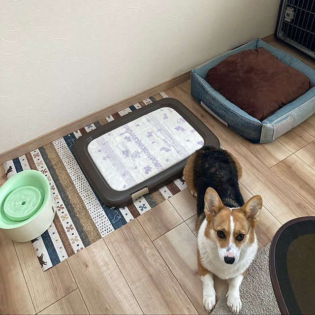 bobさんの実例写真