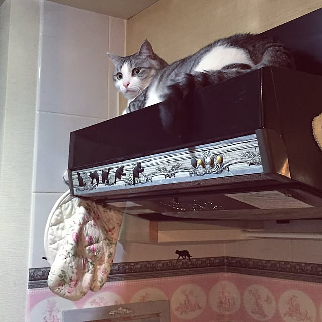 emmyyさんの実例写真