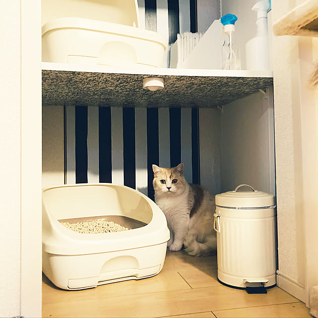 H.Tさんの実例写真