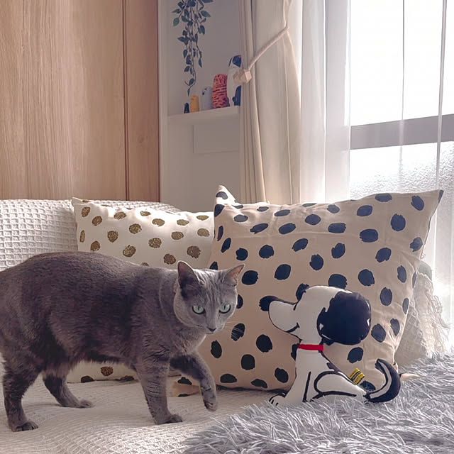 snoopyさんの部屋