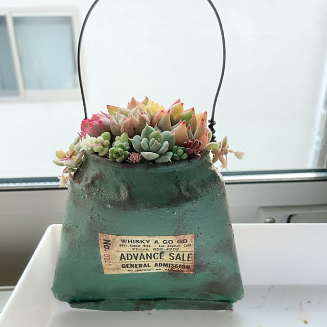 anemaさんの実例写真