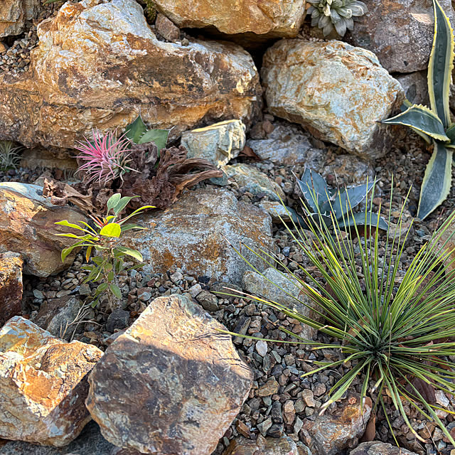 bonjiri0824さんの実例写真