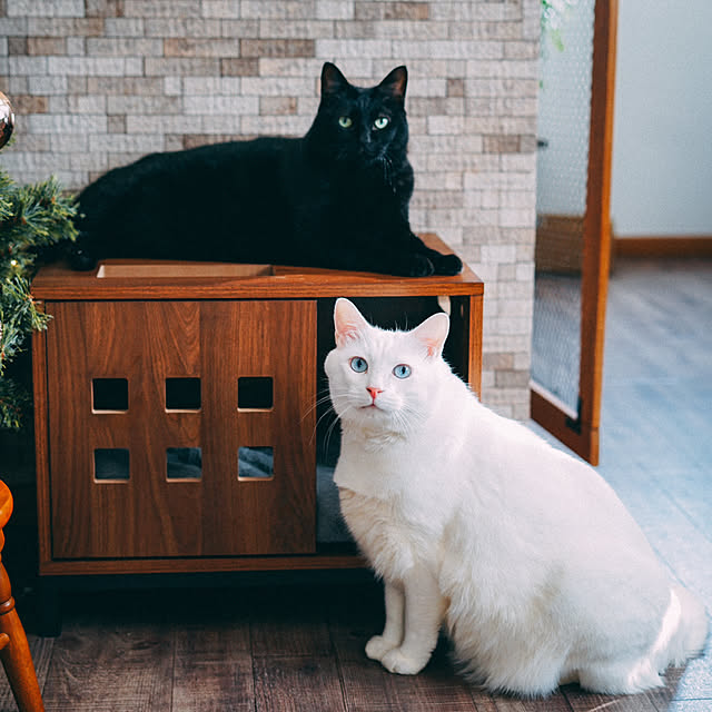 yuiiiさんの部屋