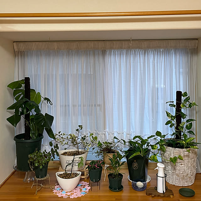 kakoさんの実例写真