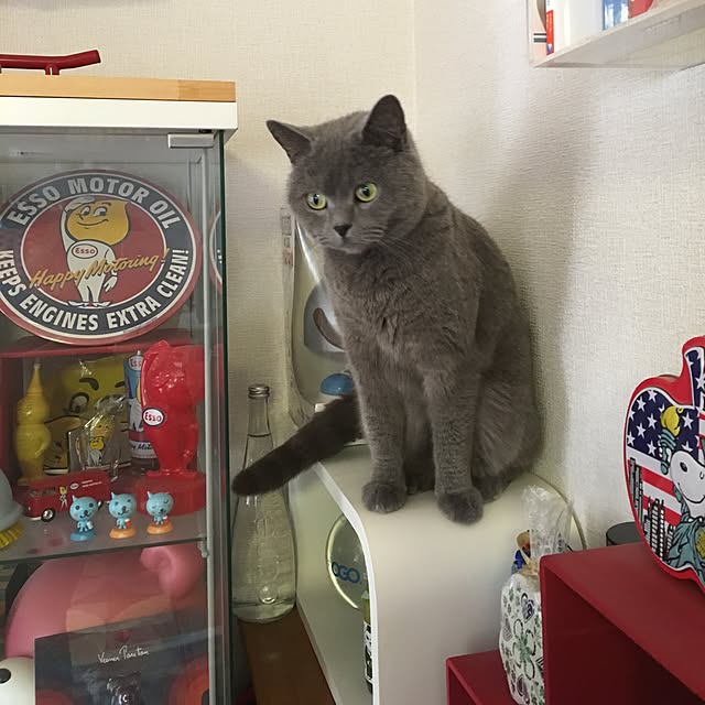 ikettenさんの実例写真