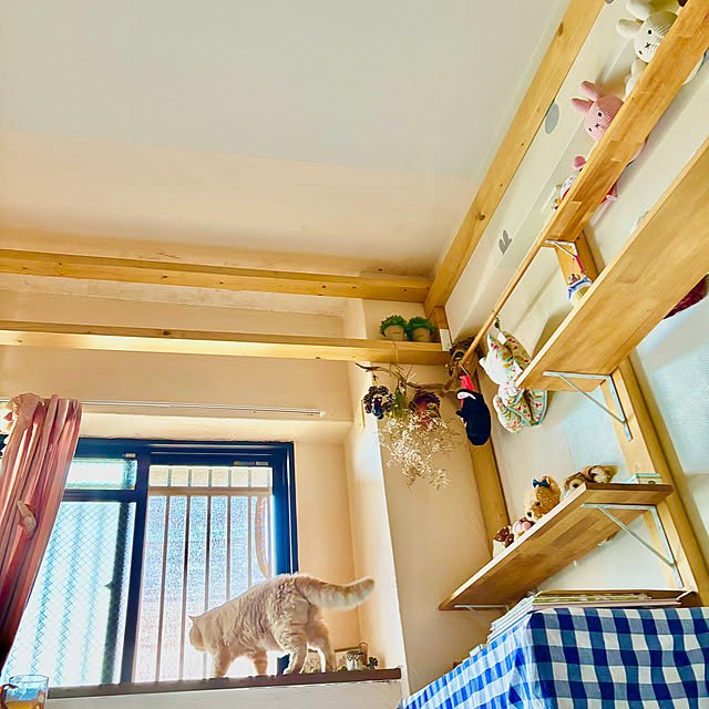 naokoさんの部屋