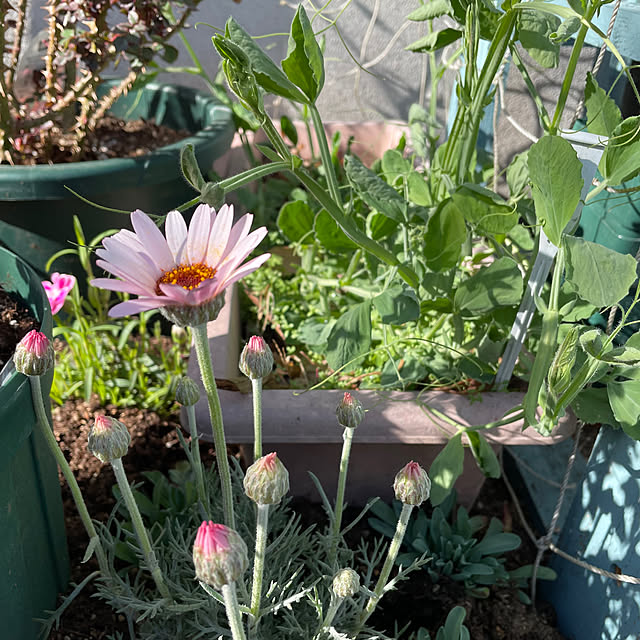 natsumiさんの部屋