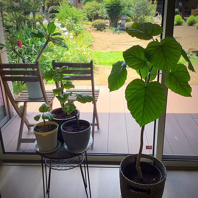 houenさんの部屋