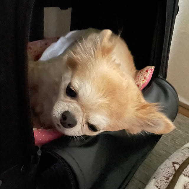 natsumiさんの部屋