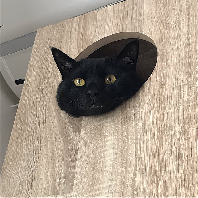 kuro288さんの実例写真