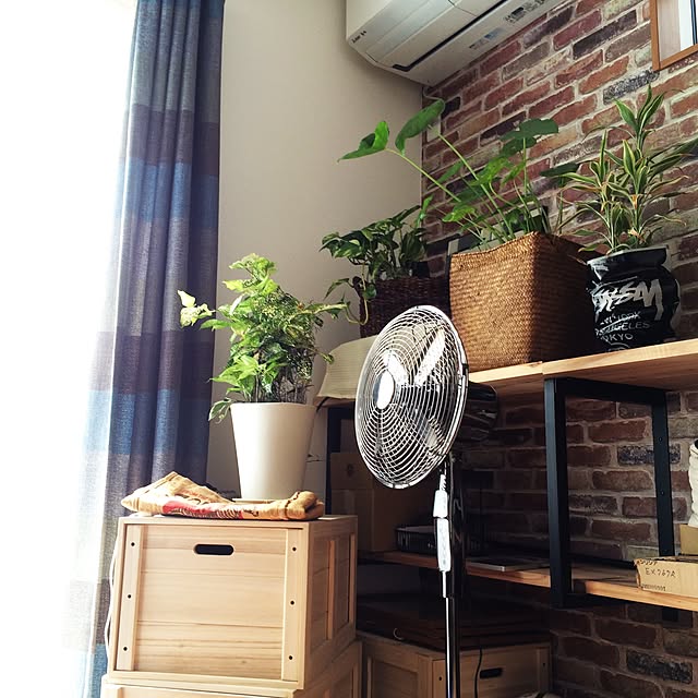 arijunさんの実例写真