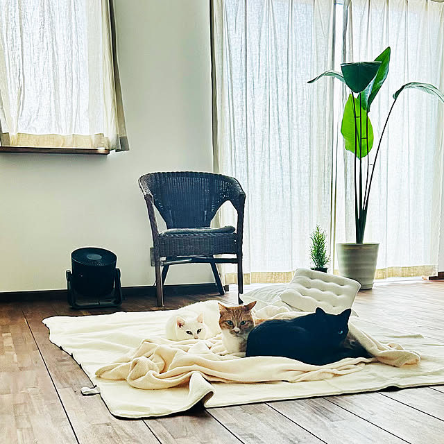 R.さんの実例写真