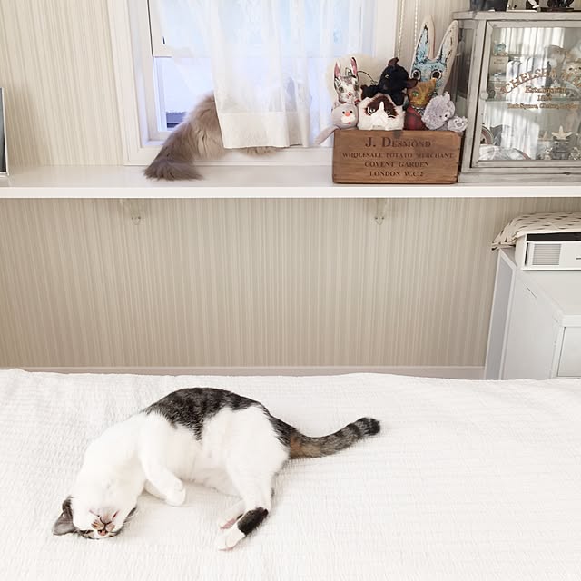 yuchiさんの実例写真