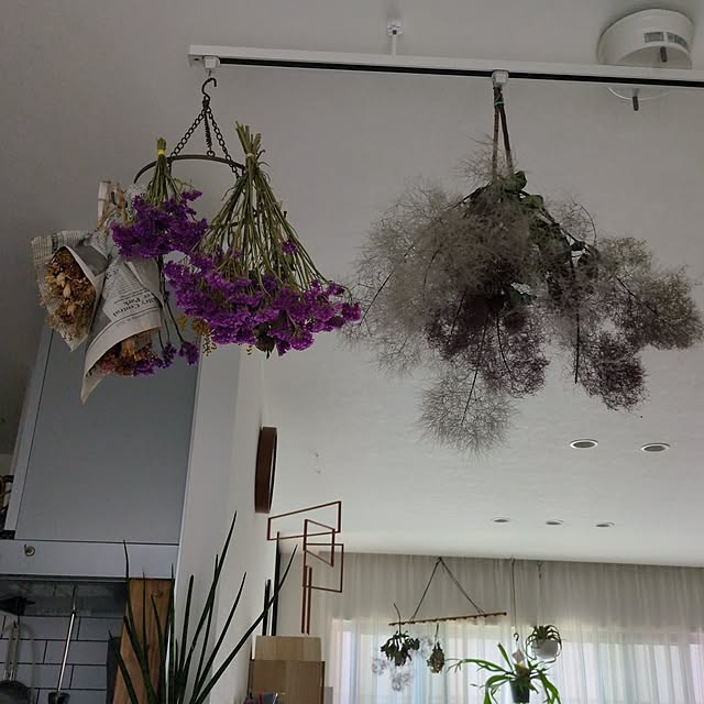 naoさんの実例写真