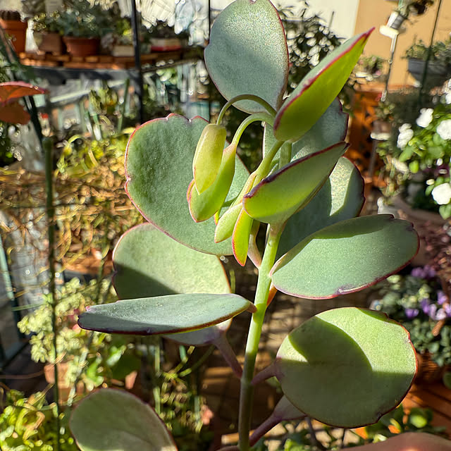 Aqettyさんの部屋