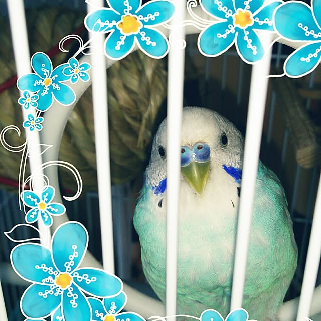 maiさんの実例写真
