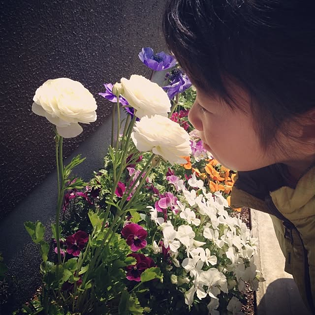 Tomokoさんの実例写真