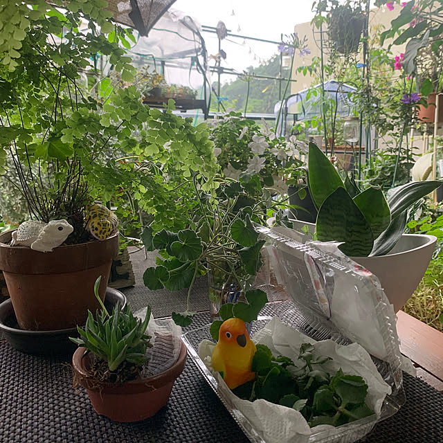 Aqettyさんの部屋
