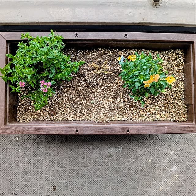 mi-saさんの部屋