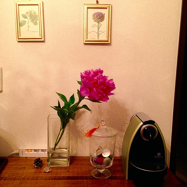 earlgrey2catさんの実例写真
