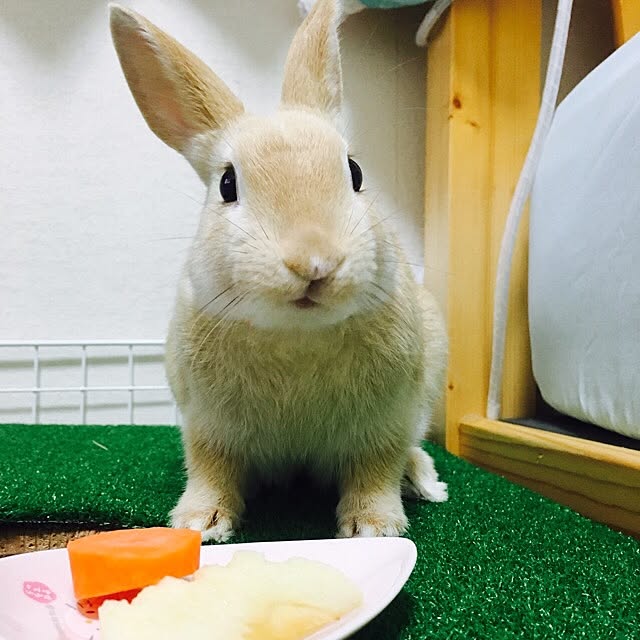 khj1974さんの実例写真