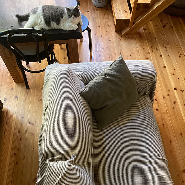 mohayaeteさんの実例写真