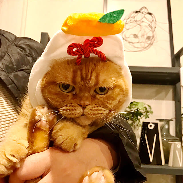 hm_myhomeさんの実例写真