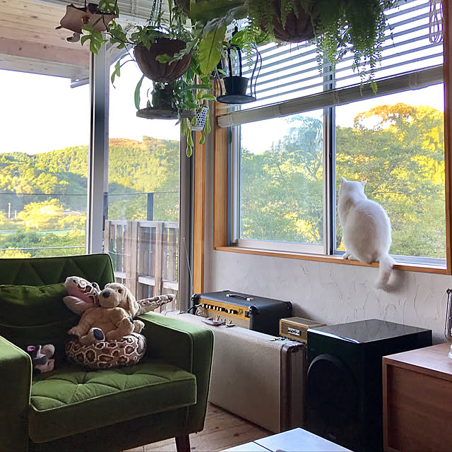 sakurasakuさんの実例写真
