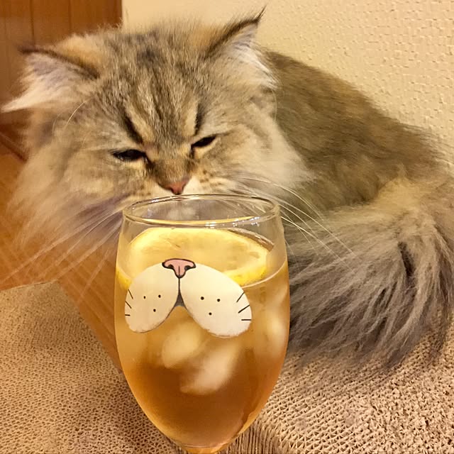 butachanさんの実例写真