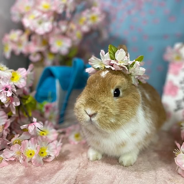 aiさんの部屋