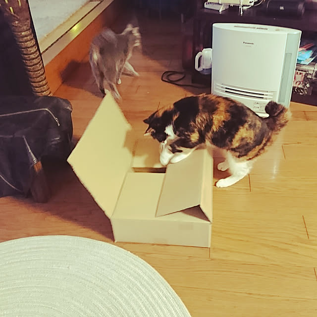 uchizukonyanさんの実例写真