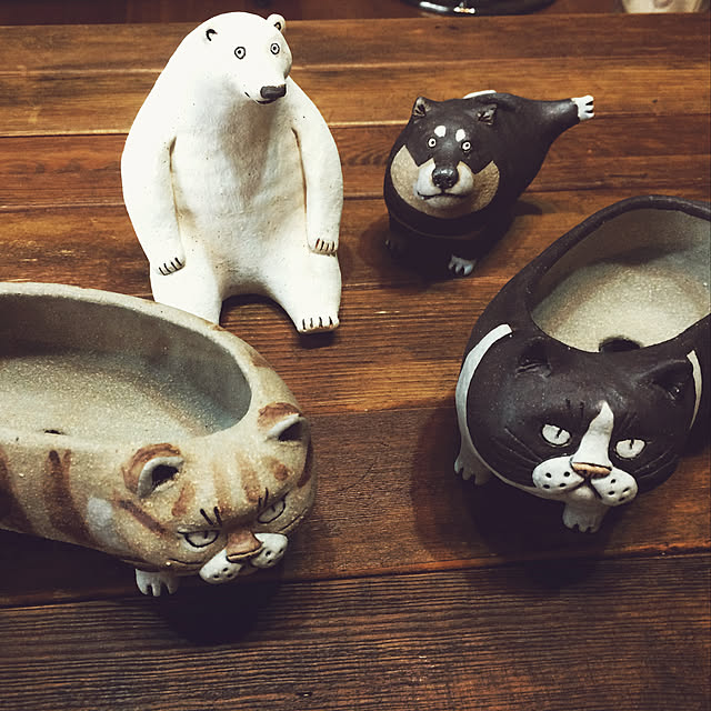 annさんの実例写真