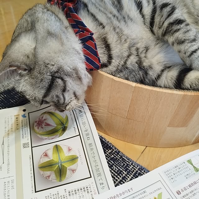 hiro3さんの部屋