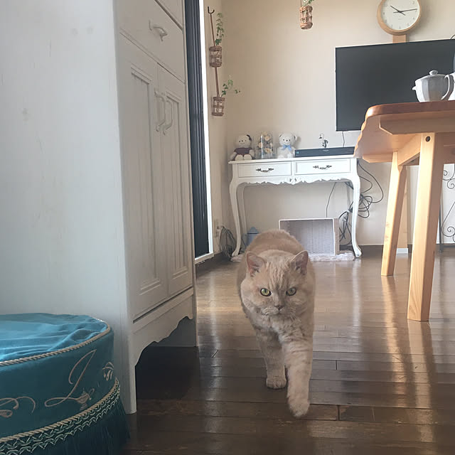naokoさんの部屋