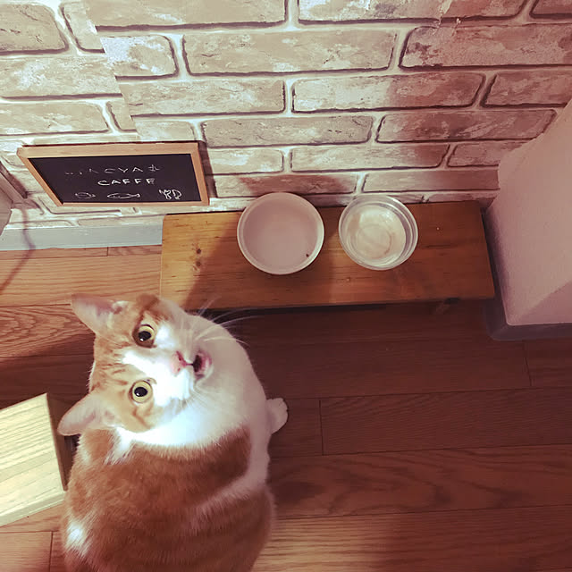 ennaさんの実例写真
