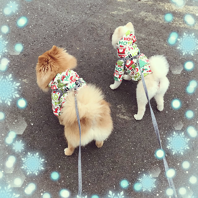 tekapoさんの実例写真
