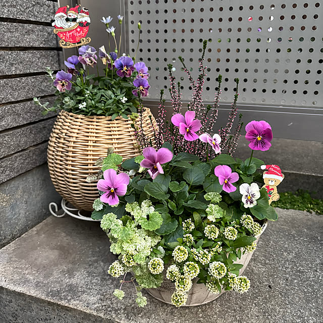 maayaさんの実例写真