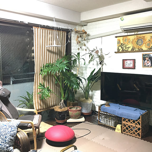 kenさんの実例写真