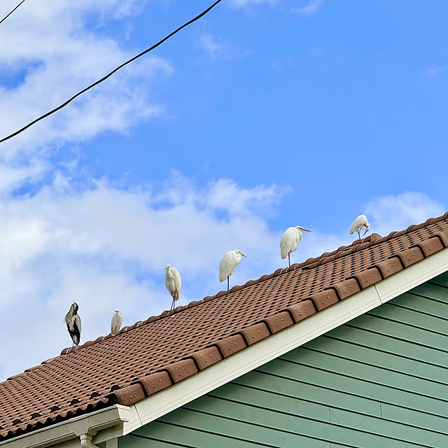 maric323さんの実例写真