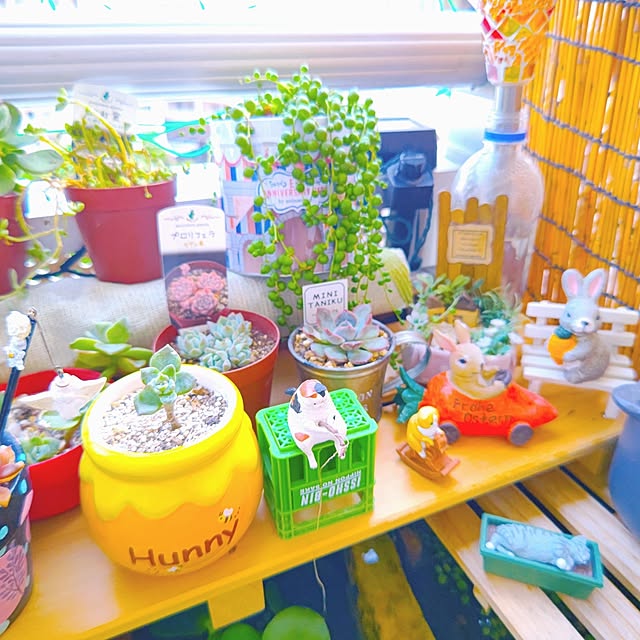 mariaさんの部屋