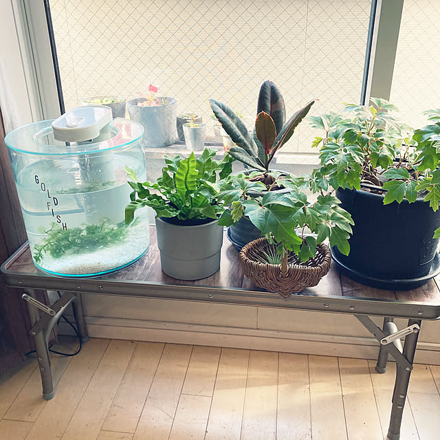 okkunさんの部屋