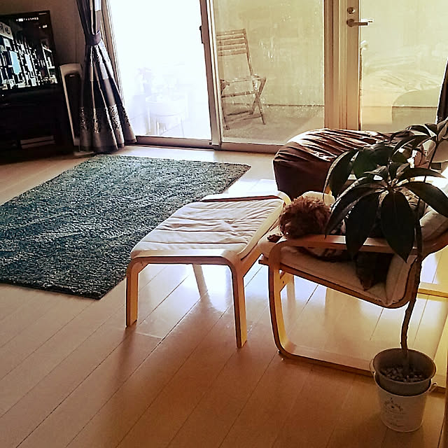 tomorrowさんの実例写真